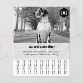 Flyer "Verkäufer"
