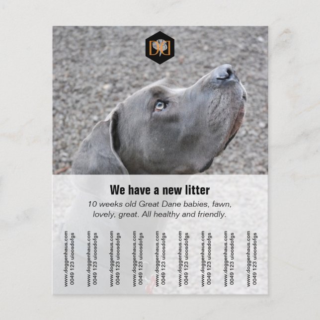 Flyer "Verkäufer" (Vorne)