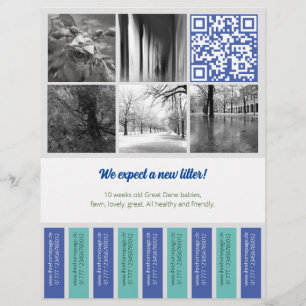 Flyer zum Abreißen quadratische Bilder