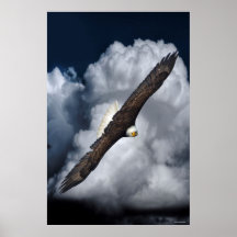 Flying Bald Eagle and Clouds Wildlife Foto Print2