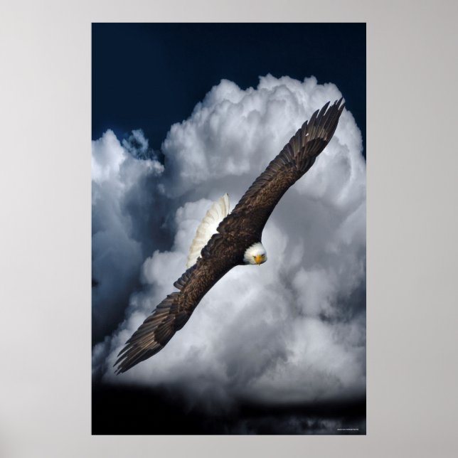 Flying Bald Eagle and Clouds Wildlife Foto Print2 Poster (Vorne)