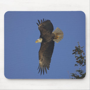 Flying Bald Eagle Wildlife Fan Art Mousepad