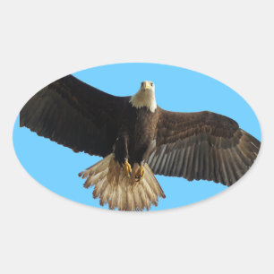 Flying Bald Eagle Wildlife Geschenk Ovaler Aufkleber