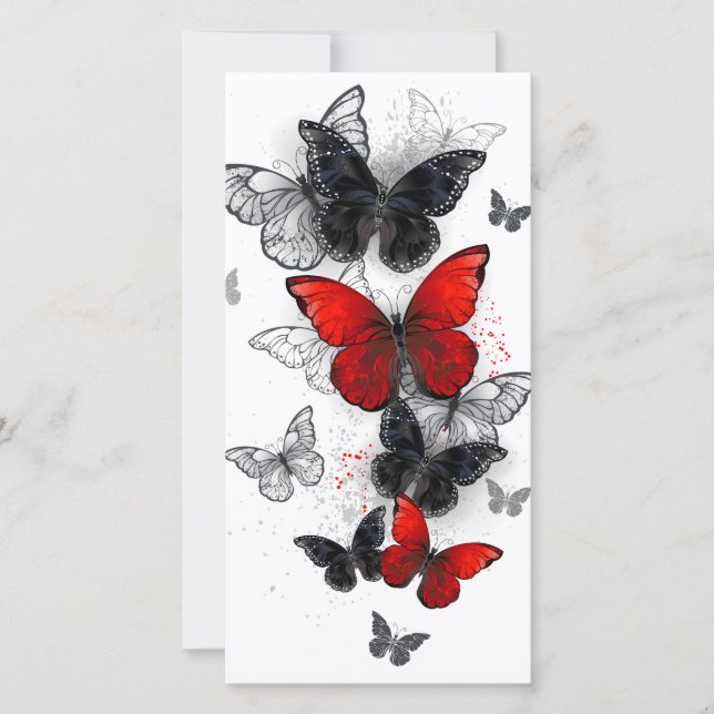 Flying Black and Red Morpho Butterfliegen (Vorderseite)