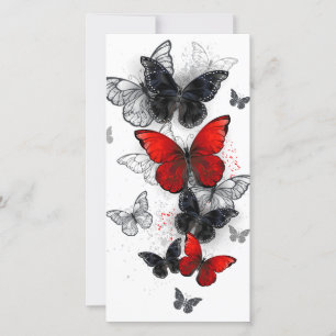 Flying Black and Red Morpho Butterfliegen