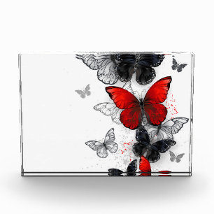 Flying Black and Red Morpho Butterfliegen Fotoblock