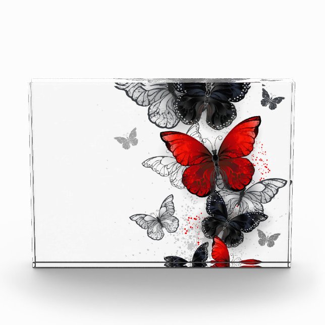 Flying Black and Red Morpho Butterfliegen Fotoblock (Vorderseite)