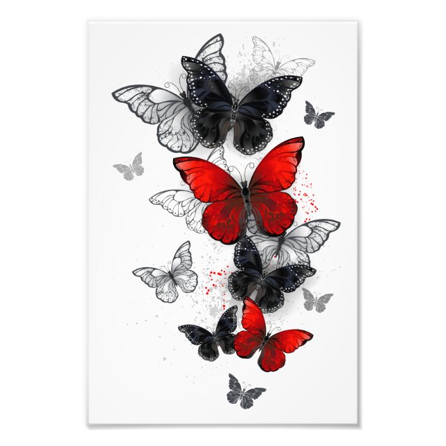 Flying Black and Red Morpho Butterfliegen Fotodruck (Vorne)