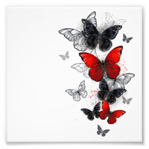 Flying Black and Red Morpho Butterfliegen Fotodruck