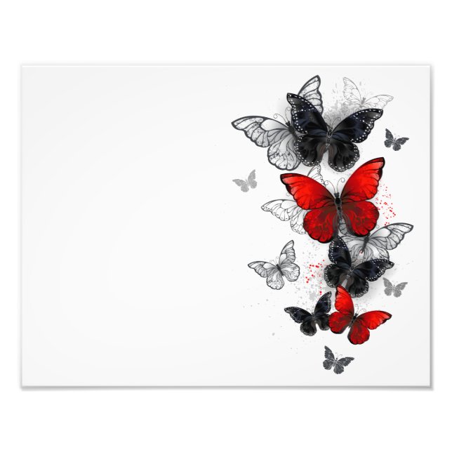 Flying Black and Red Morpho Butterfliegen Fotodruck (Vorne)