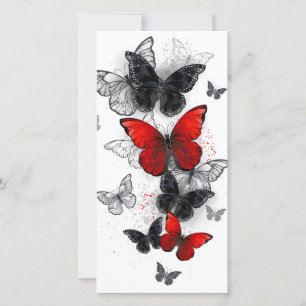 Flying Black and Red Morpho Butterfliegen Karte