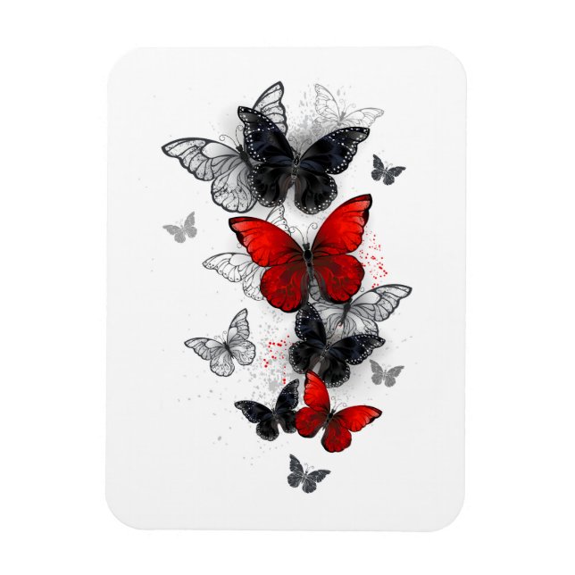Flying Black and Red Morpho Butterfliegen Magnet (Vertikal)