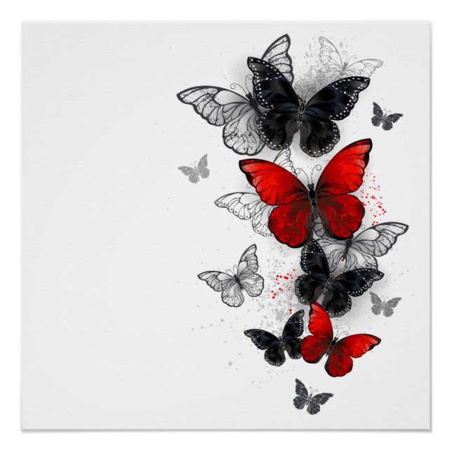 Flying Black and Red Morpho Butterfliegen Poster (Vorderseite)