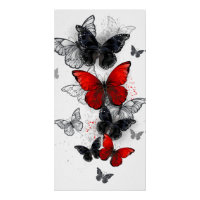Flying Black and Red Morpho Butterfliegen