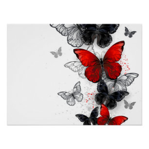 Flying Black and Red Morpho Butterfliegen Poster