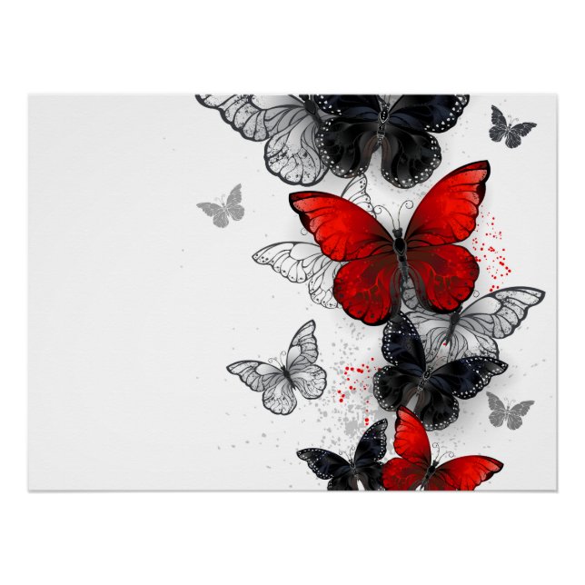 Flying Black and Red Morpho Butterfliegen Poster (Vorderseite)