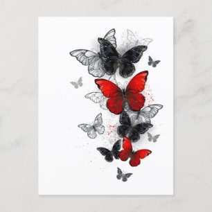 Flying Black and Red Morpho Butterfliegen Postkarte