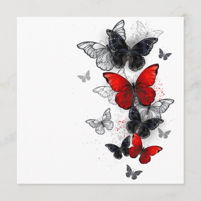 Flying Black and Red Morpho Butterfliegen Programm (Vorderseite)
