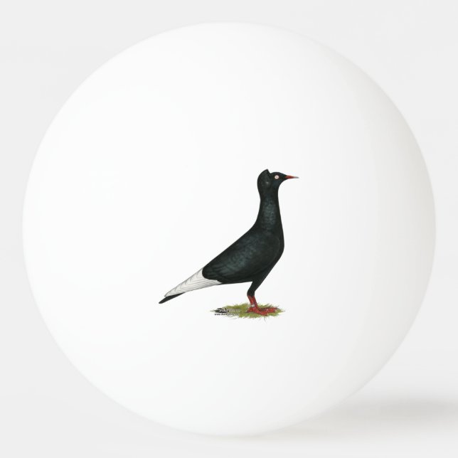 Flying Black Cap-Taube Tischtennisball (Vorderseite)