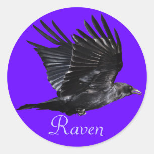 Flying Black Raven Corvid Crow-Lover Foto Design Runder Aufkleber