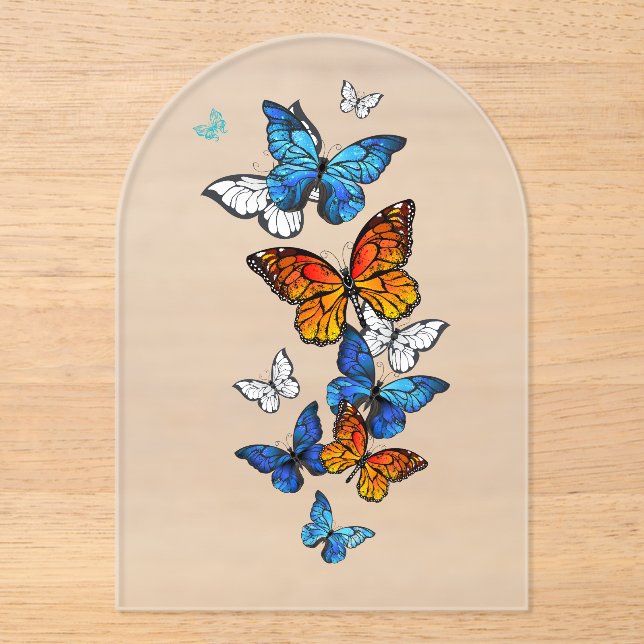 Flying Butterflies Morpho und Monarch Acryleinladungen (Vorderseite)