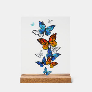 Flying Butterflies Morpho und Monarch Acrylschild