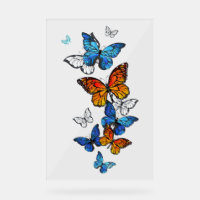 Flying Butterflies Morpho und Monarch