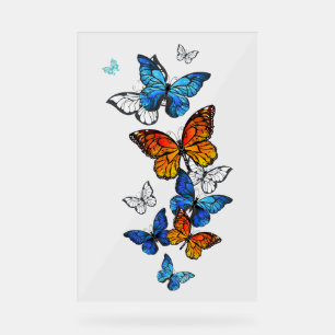 Flying Butterflies Morpho und Monarch Acrylschild