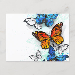 Flying Butterflies Morpho und Monarch Ankündigungspostkarte