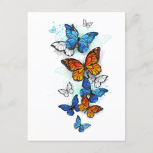 Flying Butterflies Morpho und Monarch Feiertagspostkarte