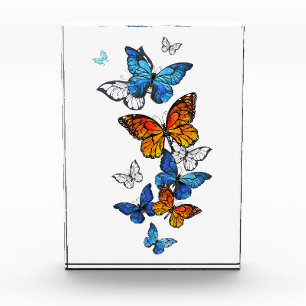 Flying Butterflies Morpho und Monarch Fotoblock