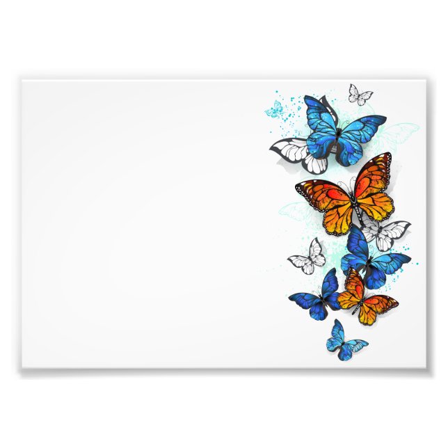 Flying Butterflies Morpho und Monarch Fotodruck (Vorne)