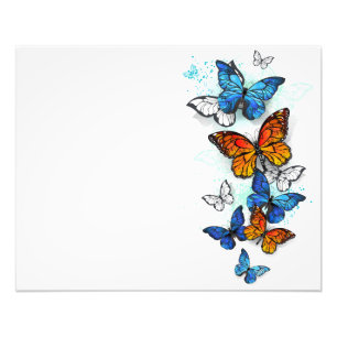 Flying Butterflies Morpho und Monarch Fotodruck