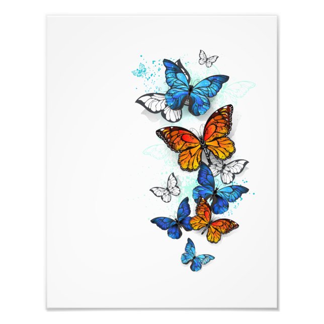 Flying Butterflies Morpho und Monarch Fotodruck (Vorne)