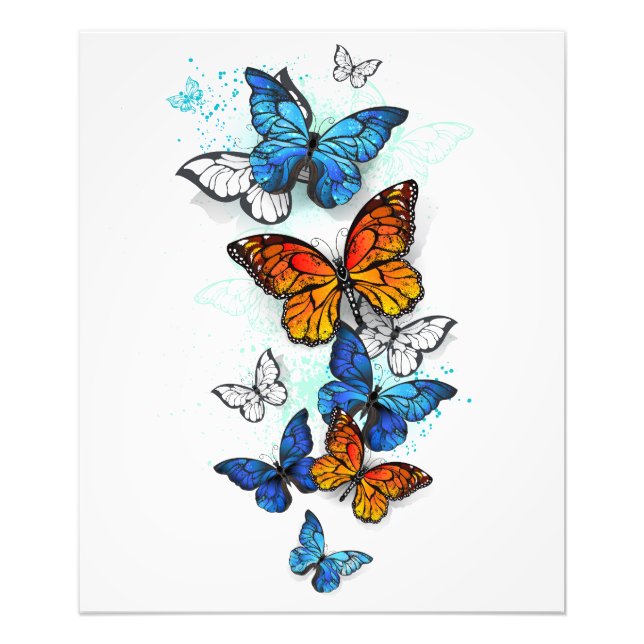 Flying Butterflies Morpho und Monarch Fotodruck (Vorne)