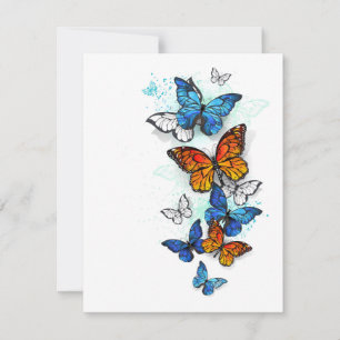Flying Butterflies Morpho und Monarch Mitteilungskarte