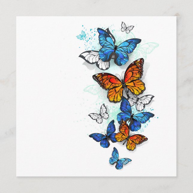 Flying Butterflies Morpho und Monarch Programm (Vorderseite)