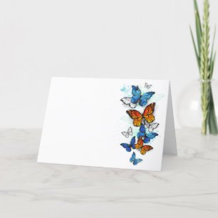 Flying Butterflies Morpho und Monarch Programm
