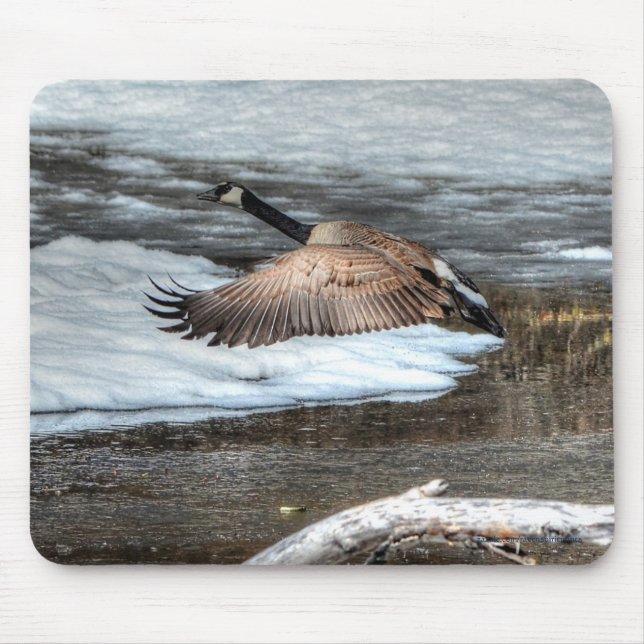 Flying Canada Gans, Pond & Snow Wildlife Foto Mousepad (Vorne)