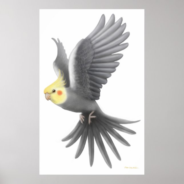 Flying Cockatiel Parrot Poster (Vorne)