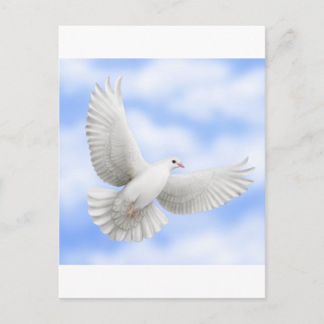 Flying Dove Postcard Postkarte (Vorderseite)