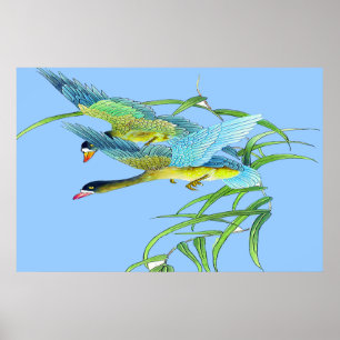 Flying Ducks-Poster Zeichne 2 Poster