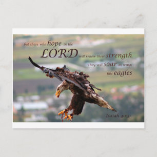 Flying Eagle Bible Verse.jpg Postkarte