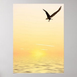 Flying Eagle Poster