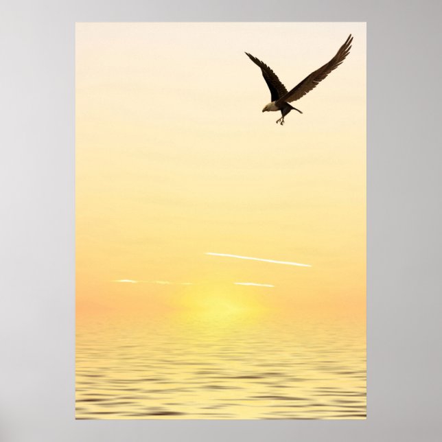 Flying Eagle Poster (Vorne)