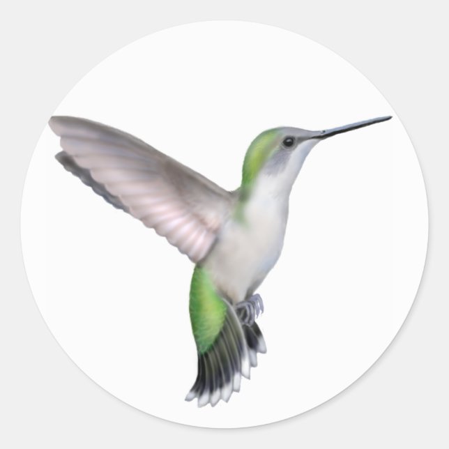 Flying Female Ruby Throated Hummingbird Sticker (Vorderseite)