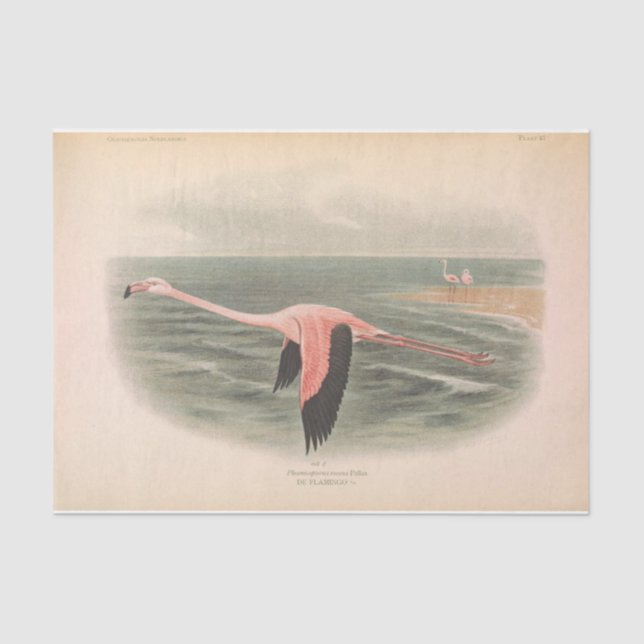 Flying Flamingo Bird Ephemera Decoupage Seidenpapier (Vorderseite)