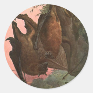 Flying Fox Bats von Austen, Vintage Wildtiere Runder Aufkleber