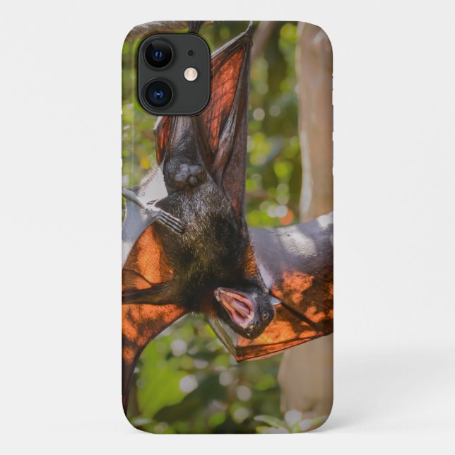 Flying Fox Fledermausgähne Case-Mate iPhone Hülle (Rückseite)