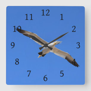 Flying Gannet Bird Blue Sky Quadratische Wanduhr